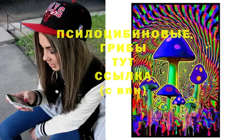 Галлюциногенные грибы Magic Shrooms  Бугуруслан 